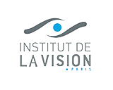 INSTITUT-DELAVISION