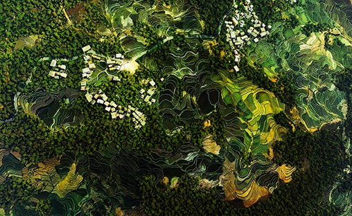 Business-Development-Sales